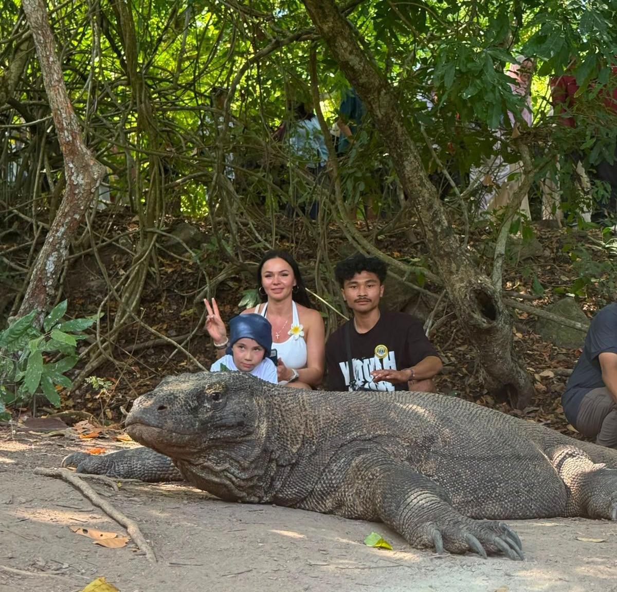 komodo dragon