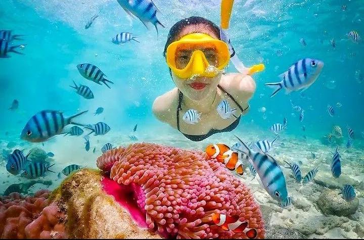 snorkling
